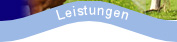 Leistungen