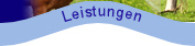 Leistungen